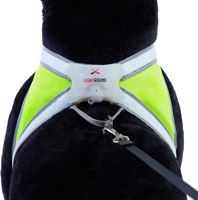 Noxgear LightHound – Revolutionary Illuminated and Reflective Harness for Dogs Including Multicolored LED Fiber Optics (USB Rechargeable, Adjustable, Lightweight, Rainproof) (Small)