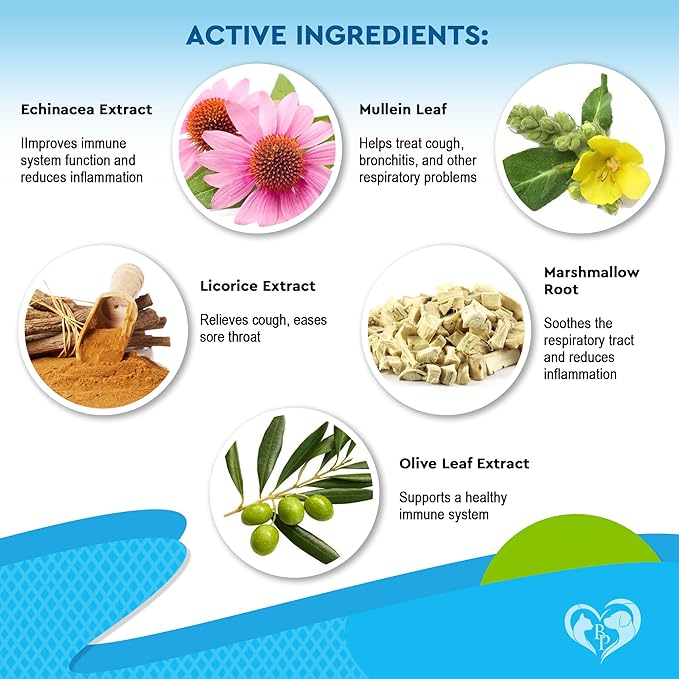 Kennel Cough Treatment & Natural Infection Medicine for Dogs & Cats - Respiratory & Cold Cough Relief - Collapse Trachea & Cat Asthma Support - Made in USA