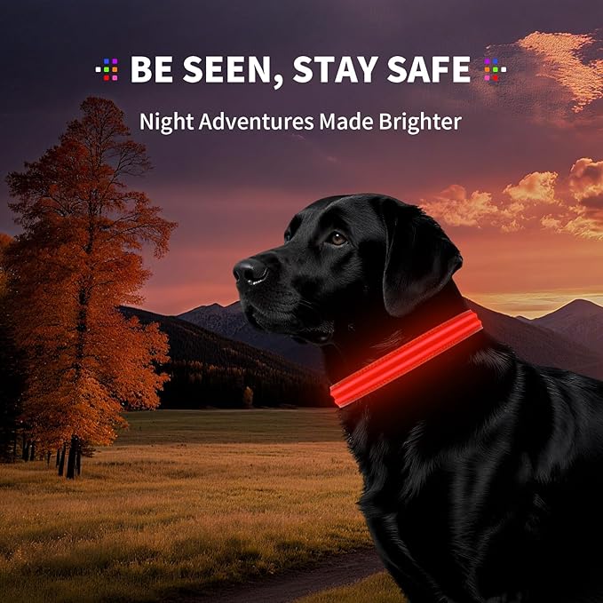 LED Dog Collar with Metal Buckle - USB Rechargeable Glow Collar for Dogs, Waterproof Light Up Dog Collar w/Reflective Strips - Adjustable Night Safety Collars by PetIsay(Red,Medium)