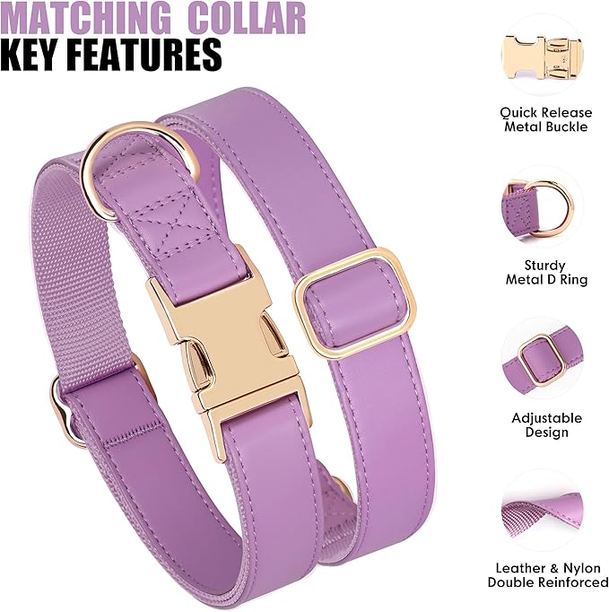 PET ARTIST PU Leather Dog Collar, Bright & Stylish Purple Dog Collar Girl with Quick Release Gold Metal Buckle, Soft Nylon Padded Durable Pet Collars Adjustable for Small Dogs, Neck Fit 9-14"