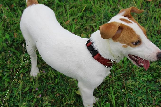 Mikivery Nylon Dog Collar with Quick Release Buckle Soft Adjustable Sturdy for Small Medium Large Dogs Brick,M