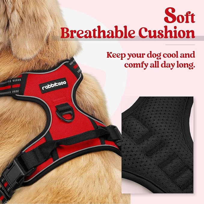 rabbitgoo Dog Harness No Pull with 2 Leash Clips, Adjustable Soft Padded, Reflective Oxford No Choke Pet Vest with Easy Control Handle for Small Dogs, Red, S