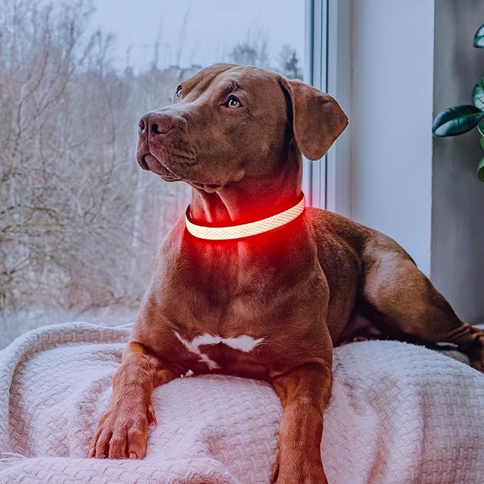 LED Dog Collar, Light Up Dog Collar USB Rechargeable, Brightest Dog Lights for Night Walking, Adjustable Dog Collar Light for Dog Safety (Medium, Ruby Red)