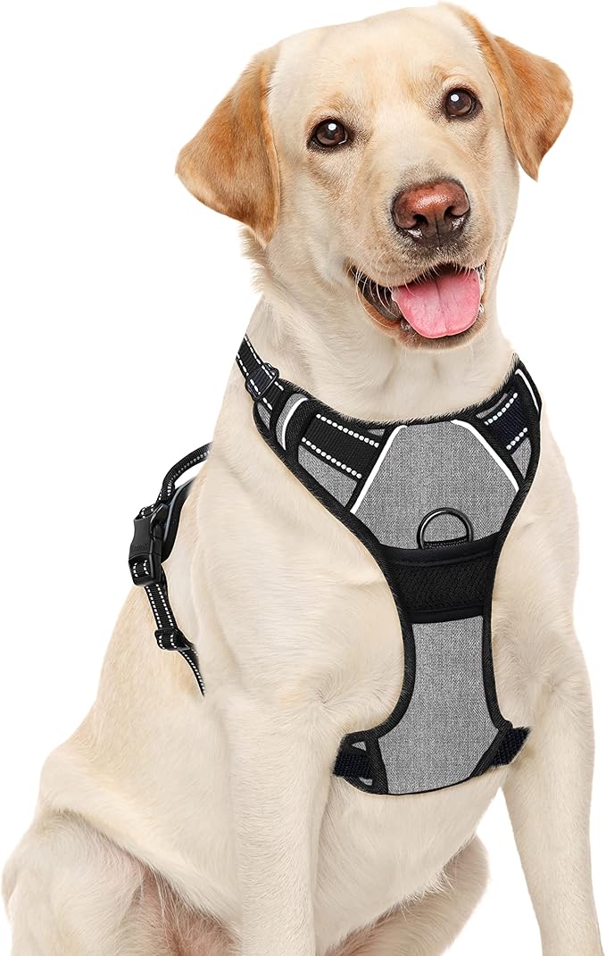 BARKBAY No Pull Dog Harness Large Step in Reflective Dog Harness with Front Clip and Easy Control Handle for Walking Training Running(Flint Gray,L)