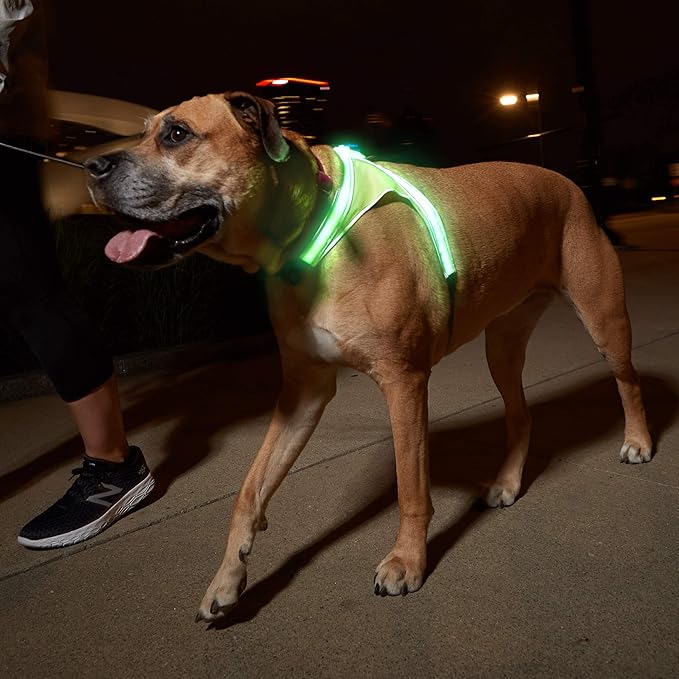 Noxgear LightHound – Revolutionary Illuminated and Reflective Harness for Dogs Including Multicolored LED Fiber Optics (USB Rechargeable, Adjustable, Lightweight, Rainproof) (X-Large)