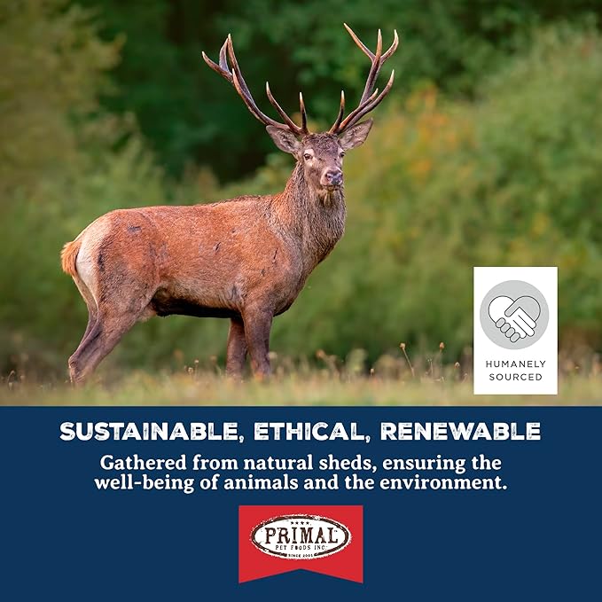 Primal Antlers for Dogs, Grade A Split Moose Antlers for Large Canines 30-45 lb, Natural Chews for Aggressive Chewers, Naturally Shed, Long Lasting Dog Bones, 1 ct