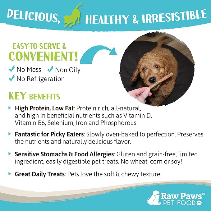 Raw Paws Grain-Free Soft Stick Treats for Dogs & Cats - Beef Recipe, 6-oz - Made in USA Beef Jerky Treats - Cat Sticks - Chewy Dog Jerky Treats - Dog Sausage - Soy, Grain Free