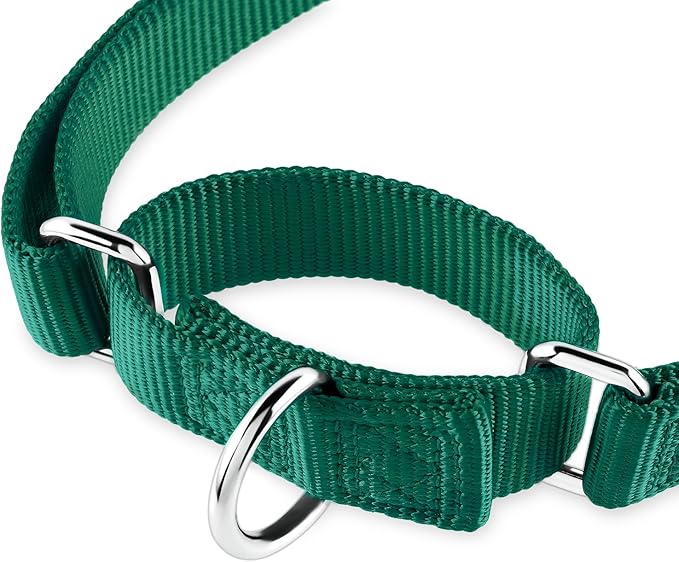 Hyhug Martingale Dog Collar Without Buckle: Anti Escape, No Slip Heavy - Duty Nylon, Colorfast & Adjustable for Medium Breeds（Medium, Solid Color Dark Green