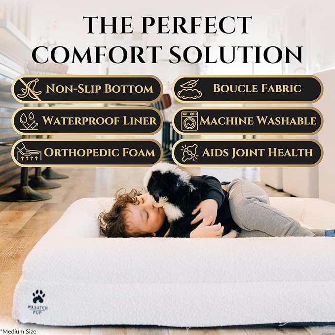 Luxury Boucle Fabric Orthopedic Dog Bed with Memory Foam | Breathable Comfort and Washable Dog Couch Bed with Waterproof Liner & Cover | Ideal Sofa Beds for Medium Dogs - Charcoal 37"x30x6