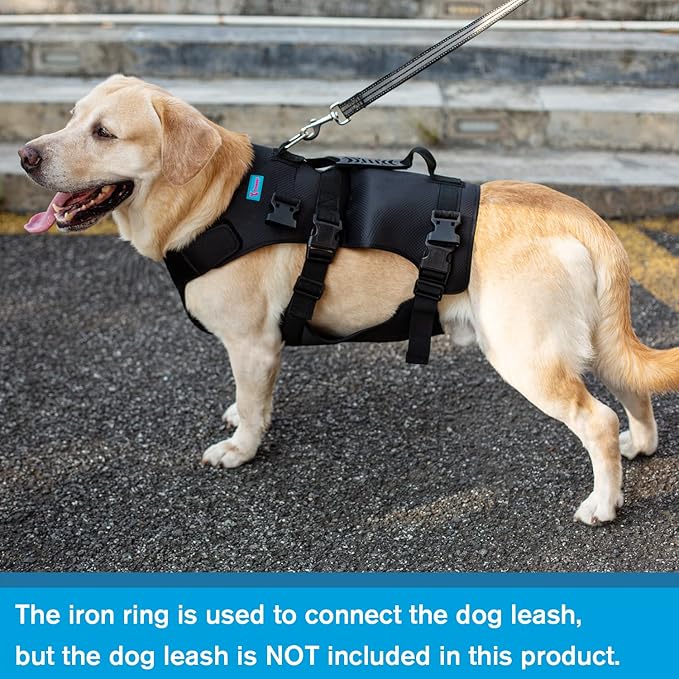 Dog Lift Harness, Rehabilitation Lifts Vest for Dogs, Support & Recovery Sling, Adjustable Breathable Lifting Straps for Old, Joint Injuries, Arthritis, Paralysis Dogs Walk (S, Black)