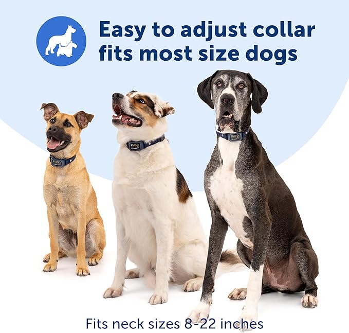 PetSafe Core Digital Dog Bark Collar – Waterproof Anti-Bark Training Device – Tone, Vibration and Static Correction – Illuminated Digital Display – for Small Medium or Large Dogs 8 lb. and Up