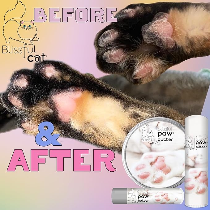 The Blissful Cat Paw Butter, Moisturizer for Dry Paw Pads, Softens and Protects Rough Feet, Versatile, Lick-Safe Balm, 2 oz.