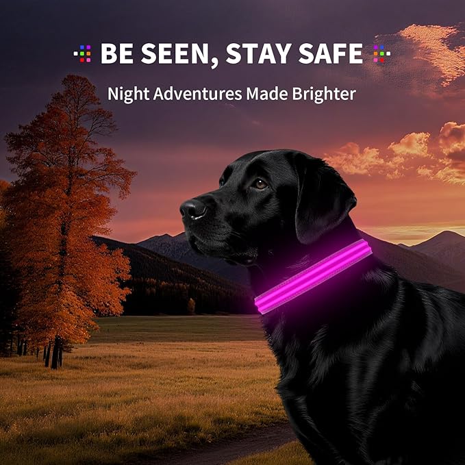 LED Dog Collar with Metal Buckle - USB Rechargeable Glow Collar for Dogs, Waterproof Light Up Dog Collar w/Reflective Strips - Adjustable Night Safety Collars by PetIsay(Pink,Large)