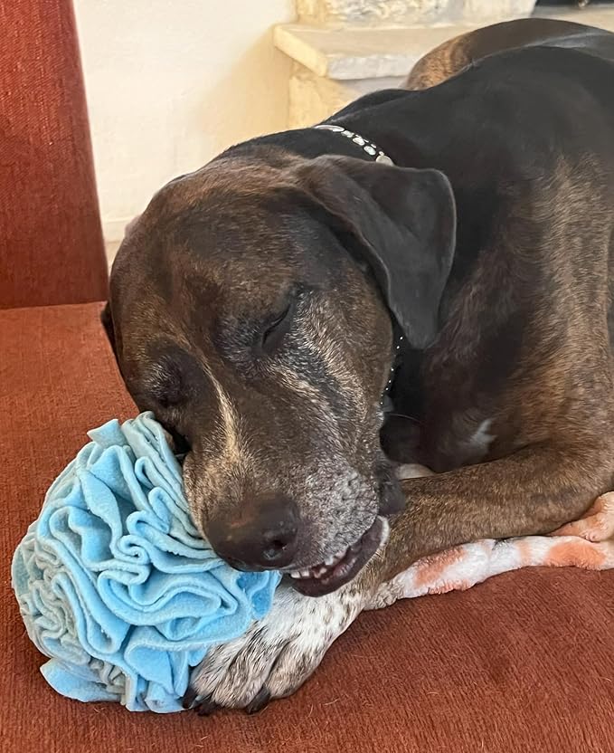 Medium Breed Snuffle Interactive Foraging Dog Puzzle Ball Toy Blue Large