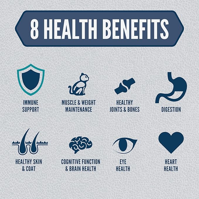 ORIJEN Guardian Senior Grain Free High Protein Premium Dry Cat Food 4lb Bag