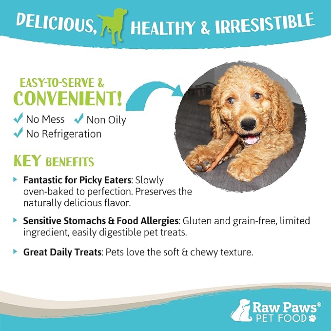 Raw Paws Grain-Free Soft Stick Treats for Dogs & Cats - Chicken Recipe, 6-oz - USA Soft Chicken Dog Treats Grain Free - Sausage Sticks for Dogs, Dog Jerky Sticks - Chewy Jerky