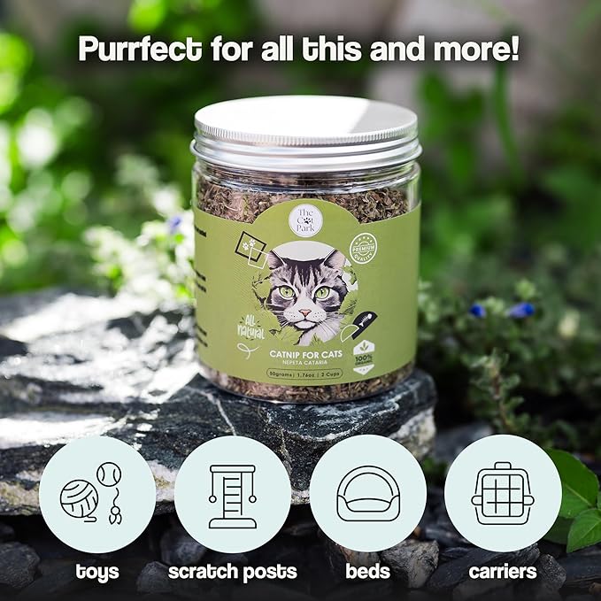 Organic Catnip for Cats & Kittens – 1.76 oz Premium Natural Catnip, High Potency Blend for Playtime, Training, and Stress Relief, 2 Cups of Dried Cat Nip Leaves