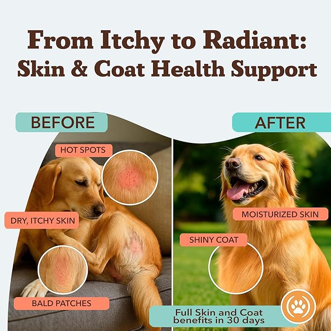 Natural Dog Company Skin & Coat Supplement for Dogs Omega-3 Rich Salmon Oil Chews for Itchy Skin Relief, Shedding & Allergy Support, Shiny Coat Health, with Biotin, Vitamin E, Grain-Free (180 Count)