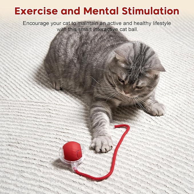 Interactive Cat Toy Dog Toy, Electric Automatic Rolling Moving Toys, Self Activated Play Smart Rolling Ball for Cats & Dogs, Chase Teaser Pet Ball for Bored Indoor Cats/Kittens/Dogs, Rechargeable