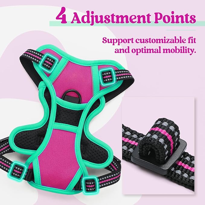 rabbitgoo Dog Harness No Pull with 2 Leash Clips, Adjustable Soft Padded, Reflective Oxford No Choke Pet Vest with Easy Control Handle for Large Dogs, Hot Pink & Turquoise, XS