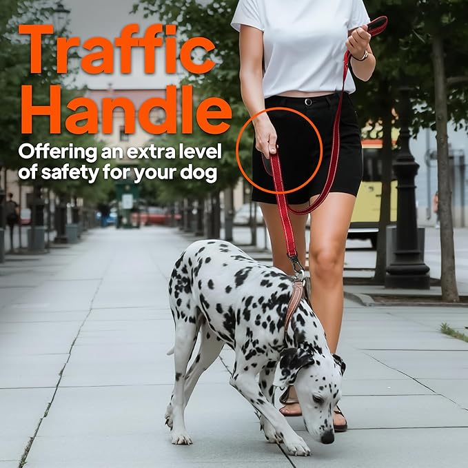 TwoEar 4FT 1IN Strong Green Dog Leash with 2 Padded Handles, Traffic Handle Extra Control, Comfortable Soft Dual Handle, Auto Lock Hook, Reflective Walking Lead for Small Medium and Large Dogs