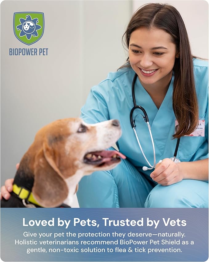 Natural Flea & Tick Repellent Collar Tag for Dogs & Cats – BioPower Pet Shield – Safe for Pets When Used as Directed – Lasts 1 Full Year - Regular Tag (1Pack)