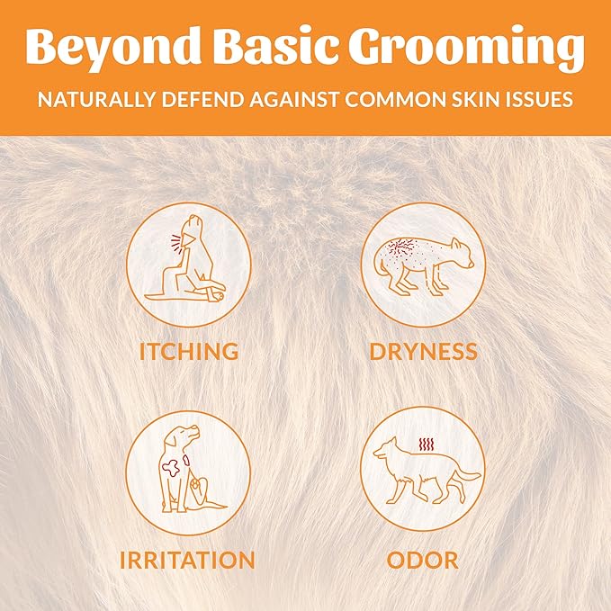 Skout's Honor Probiotic Dog Shampoo & Conditioner with Avocado Oil & Omega-3s, 97% Natural, Paraben & Sulfate-Free, Cruelty-Free, 16oz, Honeysuckle 2-Pack