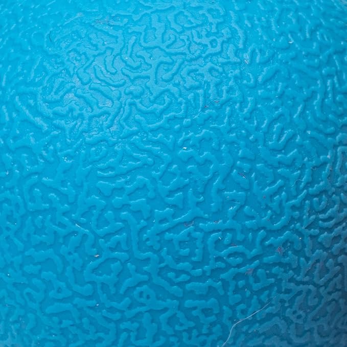 Amazon Basics Dog Toys, Interactive Fetch Rubber Balls, (Pack of 2), 3 inch, Blue, Orange