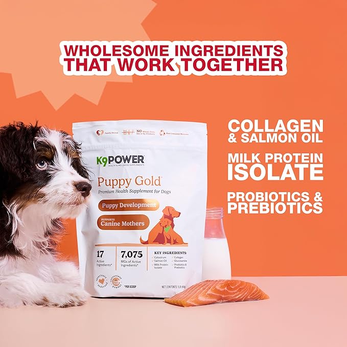 K9 Power Puppy Gold 1 lb - Supplement for Growing Puppies & Nursing Mothers - Essential Nutrients for Healthy Growth & Development - 45 Scoops