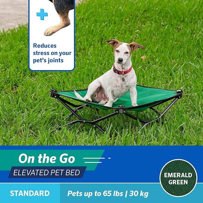 Coolaroo On-The-Go Elevated Dog Bed - Foldable Pop-Up Travel Dog Bed with Breathable, Moisture-Resistant Fabric, Carry Bag Included, Lightweight & Portable, Emerald Green, Standard