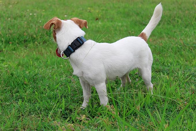 Mikivery Nylon Dog Collar with Quick Release Buckle Soft Adjustable Sturdy for Small Medium Large Dogs Haze Blue,L