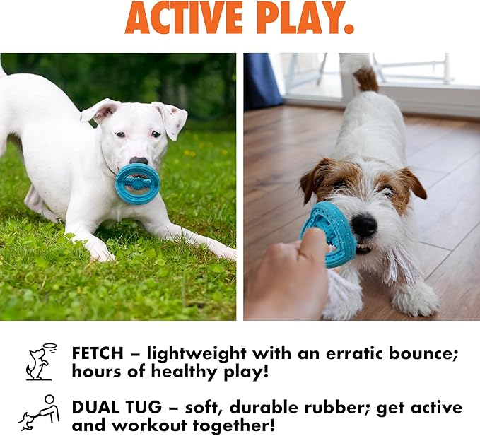 Max Fusion with Nike Grind, Arlee Phoneix Dog Toy, Chew Toy for Play, Fetch, Tug, M