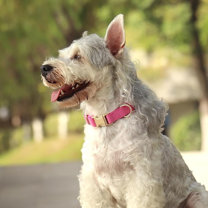 PET ARTIST Soft PU Leather Dog Collar, Bright & Stylish Hot Pink Dog Collar Girl with Quick Release Rose Metal Buckle, Nylon Padded Durable Pet Collars Adjustable for Large Dogs, Neck Fit 16-27"