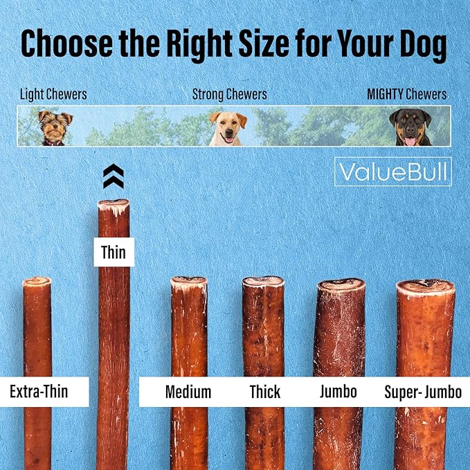 ValueBull Bully Sticks for Small Dogs, Thin 12 Inch, 200 Count Bulk Pack - All Natural, Grass Fed, Single Ingredient, Long Lasting Dog Treats