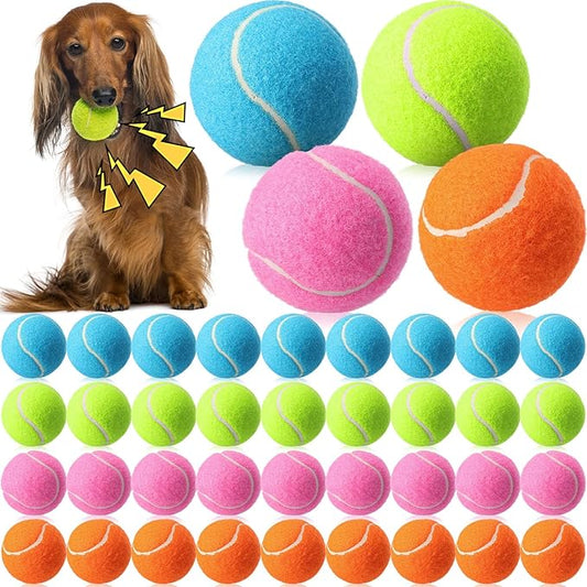 Skylety 40 Pcs 2.5 inch Squeaky Tennis Balls Bulk for Dogs Bouncy Floatable Tennis Balls Dog Playing Supplies Training Interactive Fetch Toys for Small Medium Puppy Exercise and Practice (Multicolor)