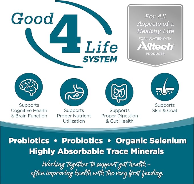 NutriSource Adult Dry Dog Food, Chicken and Rice, 4LB