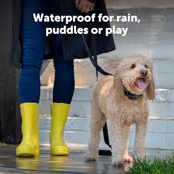 PetSafe Core Digital Dog Bark Collar – Waterproof Anti-Bark Training Device – Tone, Vibration and Static Correction – Illuminated Digital Display – for Small Medium or Large Dogs 8 lb. and Up