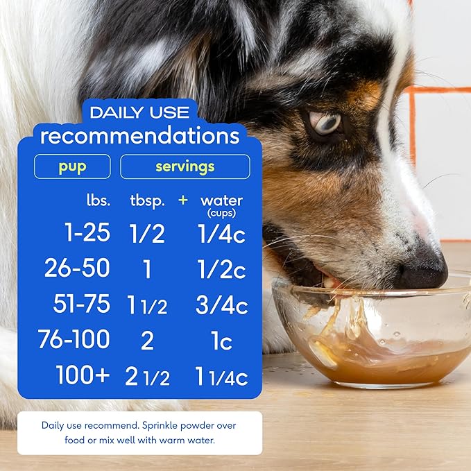 Native Pet Bone Broth for Dogs and Cats - Made with Real Beef Bone Broth, Dog Food Toppers for Picky Eaters - Provides Extra Hydration & Nutrition for Joint Strength, Immunity & Heart Health-96 Scoops