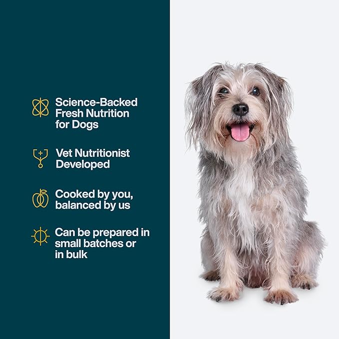 JustFoodForDogs DIY Nutrient Blend for Homemade Dog Food, Beef & Russet Potato, 4.55oz