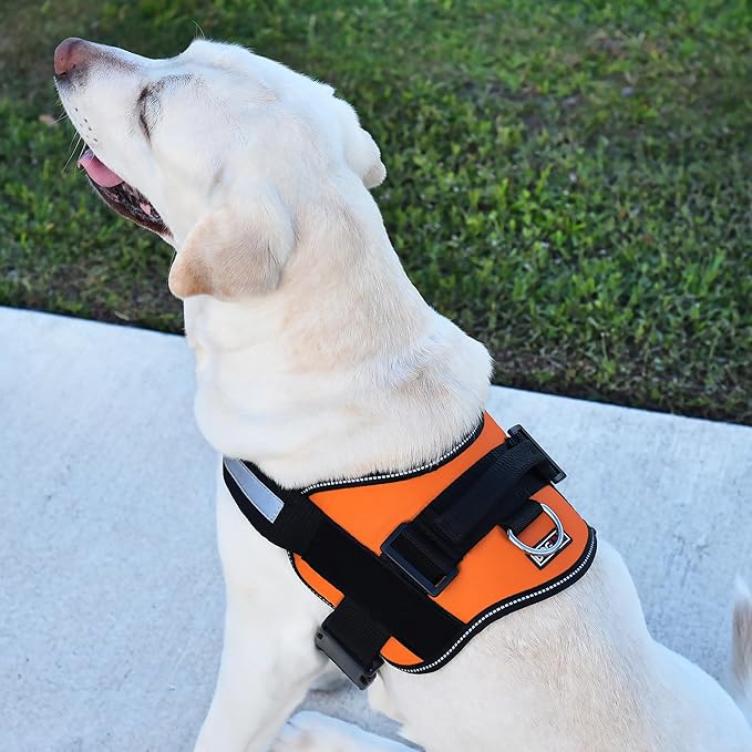 Dogline Dog Harness, Reflective No-Pull Adjustable Vest with Handle for Walking, Training, Breathable, No - Choke Harness for Small, Medium or Large Dogs Room for Patches Girth 33"-46" in Orange