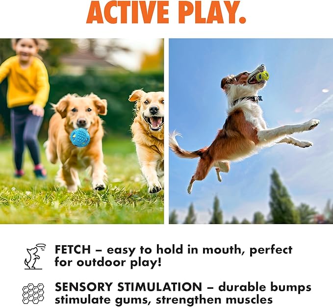 Max Fusion with Nike Grind, Arlee Meteor Dog Toy, Chew Toy for Play, Fetch, Tug, M