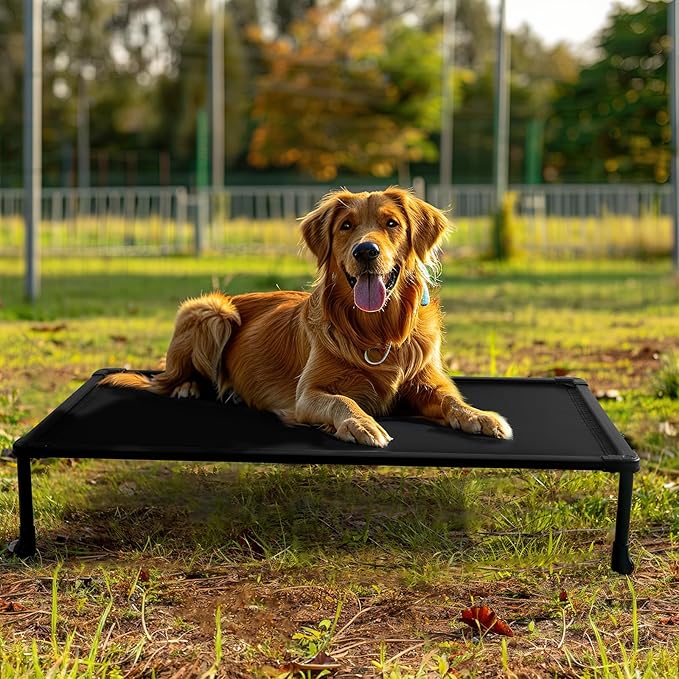 Veehoo Chew Proof Elevated Dog Bed, Durable Raised Training Platform for Large Dogs, Indoor or Outdoor Pet Cot System for Place, Agility, CWC2420CP