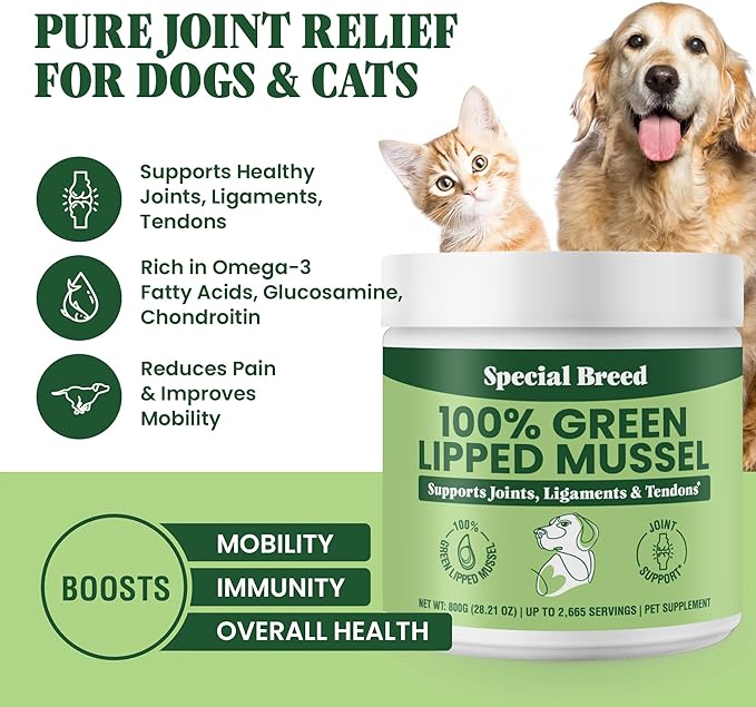 Green Lipped Mussel Powder for Dogs & Cats - 100% New Zealand Green Lipped Mussels - Natural Hip & Joint Supplement for Joints, Tendons, Ligaments, Muscles - 800 Grams - Up to 2,665 Servings