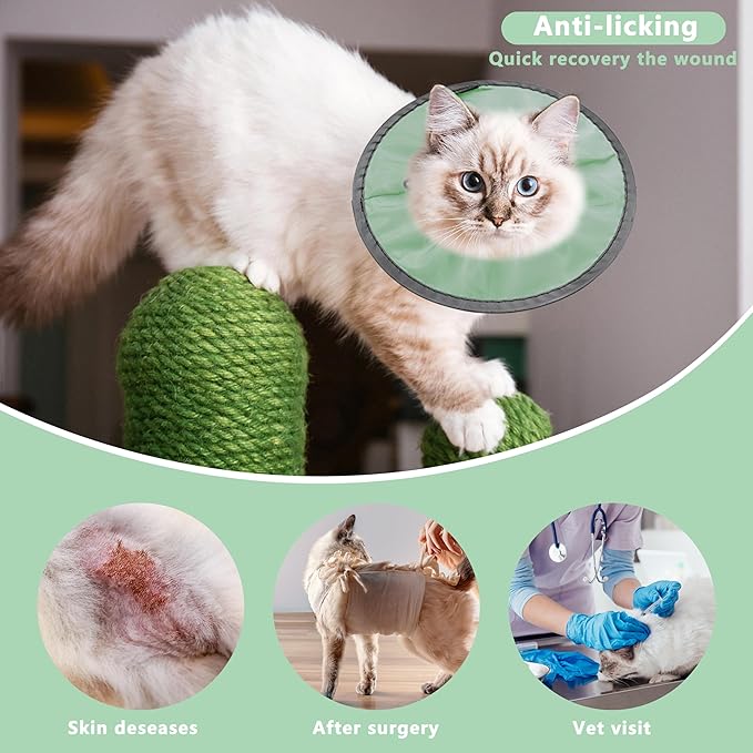 Lightweight Cat Cone Collar Soft, Soft Comfortable Cat Recovery Collar After Surgery, Elizabethan E Collar for Cats, Cone for Cats to Stop Licking (Mint Green, Medium)