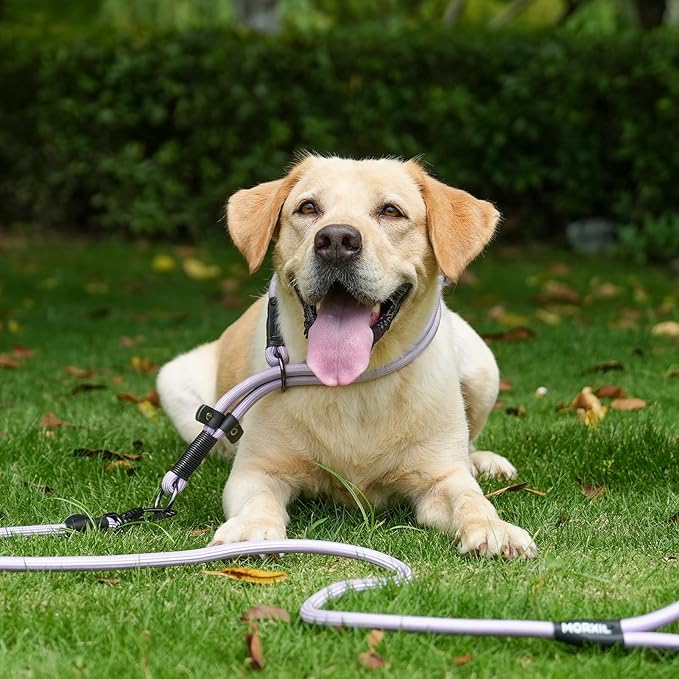 Rope Dog Leash, 6 Foot Heavy Duty Dog Leash with Aviation Aluminum Auto Locking Carabiner, Strong Nylon Pet Lead for Small, Medium, Large Dogs (Green, 6FT)