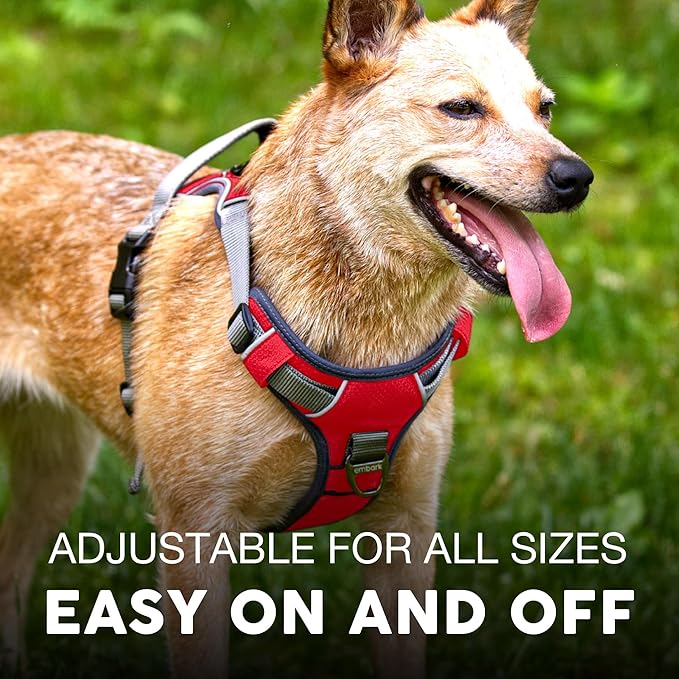 Embark Adventure Dog Harness, Reflective Trim No Pull Dog Harnesses for Small Sized Dogs - Military Grade Nylon, Front Clip with Gel Lined Handle.