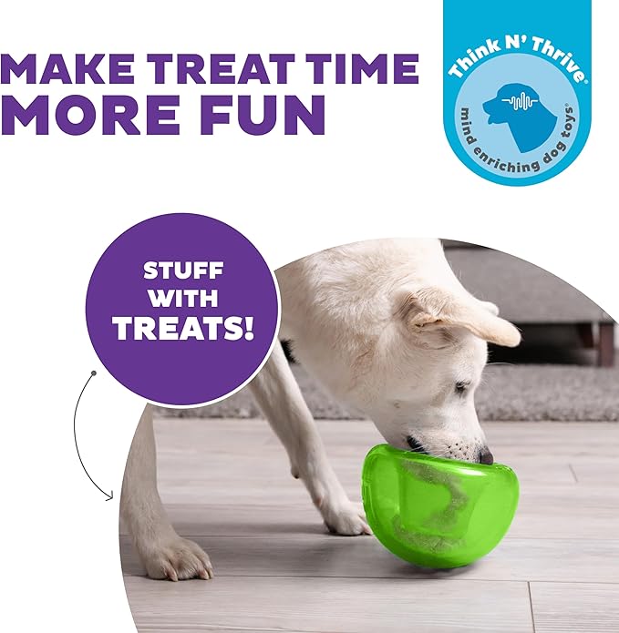 Outward Hound by Planet Dog Snoop Durable Interactive Treat Dispensing Dog Toy, Large, Green