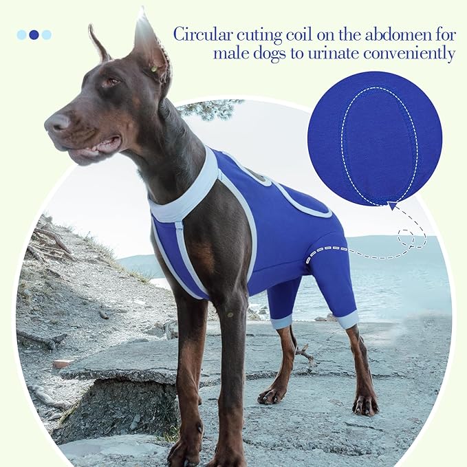 ROZKITCH Dog Surgery Leg Sleeve Rear Legs, Male Female Pet Prevent Licking Wound Elbow Knee Protector, Dog Recovery Suit Cone Collar Alternative Pants Shirt for Wound Heal Wrap Blue S