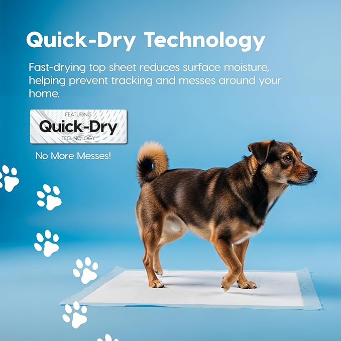 IRIS USA Dog Pee Pads – Puppy Essentials, Dog Pads, Quick Dry, Leak Proof, Thick Absorbent 6-Layer Design for Potty Training, Regular Size 22" x 22", 100 Count