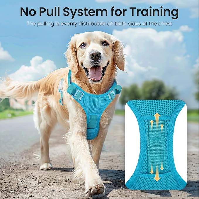 Light Up Dog Harness,Reflective Pet Harness Rechargeable,Led Dog Vest Harness for Night Walking,Adjustable Dog Safety Vest for Small Medium Large Dogs-No Pull,Blue,L